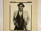 Muddy Waters Hard Again Vinyl LP Blue Sky PZ 34449  1977