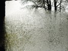 Bon Iver For Emma, Forever Ago (Vinyl) 12