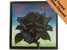 Thin Lizzy Black Rose (A Rock Legend) 12
