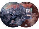 Suffocation Effigy Of The Forgotten picture disc lp thrash metal sodom death