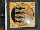Echo And The Bunnymen - Songs To Learn And Sing Picture Disc Compilation Album
