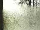 Bon Iver : For Emma, Forever Ago Vinyl 12