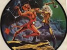 Iron Maiden - Run To The Hills - Picture Disc -  7