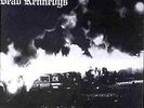 Dead Kennedys: Fresh Fruit for Rotting Vegetables, Vinyl Edition