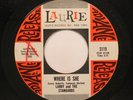 Larry And The Standards - Promo 45 - Where Is She / My Lucky Night On Laurie