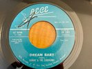 Johnny & the Cardigans Michigan Teen Garage 45 The Secrets/Dream Baby on Bece NM