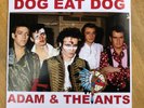 Adam And The Ants Dog Eat Dog 7