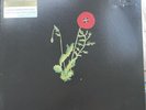 Alexandra Savior Belladonna Of Sadness Vinyl Limited Red