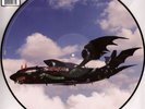 Mötley Crüe - Dogs Of War Indie Exclusive Picture Disc Vinyl  (US - Original)