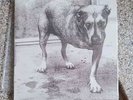 Alice In Chains - Alice In Chains 2LP 1995