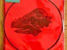 Alice In Chains ‎– The Devil Put Dinosaurs Here 2xLP Picture Disk Vinyl