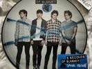 RSD 5 Seconds Of Summer Self-Titled PICTURE DISC 2014 Rare 5SOS LP Vinyl Swift