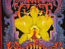 The Cult - Wild Flower 2 x  12 