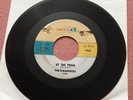 The Flamingos 45 I Only Have Eyes For You / At the Prom E-1046 vg