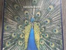 The Bluetones - Expecting To Fly,  Ltd Edition Special Sleeve + Booklet .No 1150
