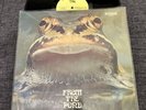 Froggie Beaver ‎– From The Pond-1973 Original US private prog Psych LP- Rare