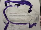 The Mountain Goats - Come, Come To The Sunset Tree (LP)