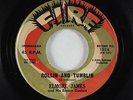 Blues R&B 45 - Elmore James - Rollin and Tumblin - Fire