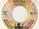 TIMOTHY WILSON Pigtails Loving You BUDDAH PROMO NORTHERN SOUL USA 45