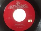 The Robins - Spark 110 - If Teardrops Were Kisses / Whadaya Want ?   ** 1955 **