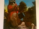 J.J. CALE - NATURALLY LP / UK SHELTER ISA 5003