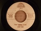 Sonny Terry  Fast Freight Blues/Dangerous Woman RARE  Harmonica Blues 1957 Josie