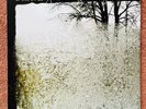 Bon Iver For Emma, Forever Ago 12