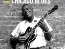 Various Artists The Rough Guide to Chicago Blues (Vinyl) 12