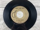 The Royal Jesters I Want To Be Loved / I Never Will Forget Cobra 7777 45 RPM 7”