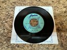 The Fugitives - I'll Hang Around / You Can't Blame That On Me  FENTON 2075 RARE