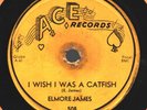 BLUES 1955 Elmore James 