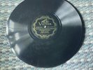 VICTOR Record 78 rpm 22113 PAINTING THE CLOUDS WITH SUNSHINE / TIP TOE THROUGH