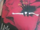 The Smashing Pumpkins Adore Vinyl Record