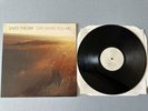 SAVES THE DAY Stay What You Are Vinyl Record 1st Press VAGRANT AFI NOFX Senses