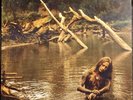 Jerry Cantrell – Boggy Depot  ' 1998 LP, Vinyl Forest Green + Black  NM/NM