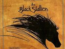 The Black Stallion (Original Motion Picture Soundtrack)