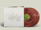 Big Thief - Dragon New Warm Mountain.. / Vinyl 2xLP limited on Randomly Colored