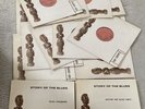 Story Of The Blues 14 Album Complete Release Set Blues Panorama Vinyl Rare Blues
