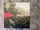 Bane - It All Comes Down to This Lp Vinyl (1999) Hardcore