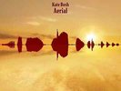 Kate Bush | Black 2xVinyl LP | Aerial (2018 Remaster) | Fish