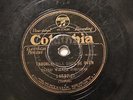 BLUES BLIND WILLIE JOHNSON The Rain Don't Fall On Me/Trouble COLUMBIA 14537 V/V-