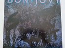 Bon Jovi Slippery When Wet UK 1986 LP Album Vinyl Record Vertigo VERH 38