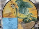 AMANDA LEAR - Never Trust A Pretty Face - 12” Picture Disc LP UK (1979) VG Condn