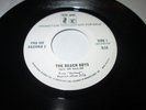 BEACH BOYS SAIL ON SAILOR 45 7