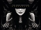The Dead Weather |  Vinyl LP | Horehound  | Third Man