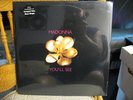 SEALED MADONNA YOU'LL SEE POP ROCK LP ON MAVERICK