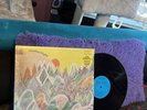 Bobak, Jons, Malone   Motherlight   LP   Vinyl   In Shrink   Prog