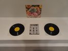 VOLCANO SUNS THING OF BEAUTY LP RARE ORIG 1989 1ST PRESS w/ SST CATALOG  SHELLAC