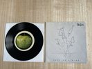 The Beatles Apple 45 Record FREE AS A BIRD 1995 Picture Sleeve