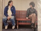 The Dandy Warhols - Bohemian Like You 7